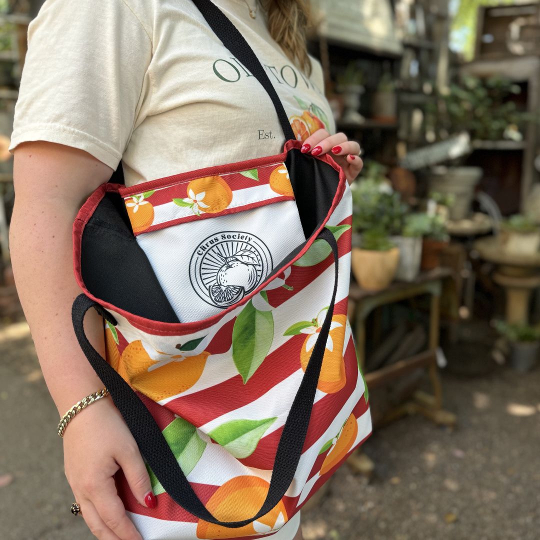 Citrus Stripes Tote